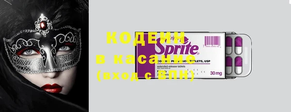 дурь Алексин