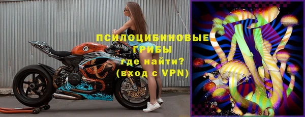 дурь Алексин