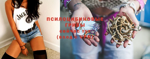 дурь Нея