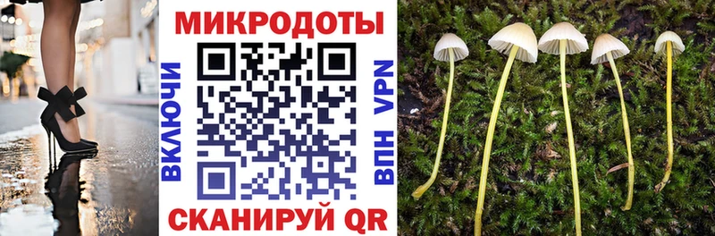 Псилоцибиновые грибы Psilocybe  Астрахань 